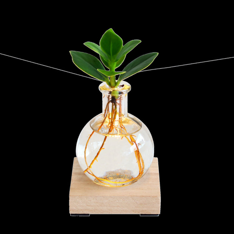Decoratie