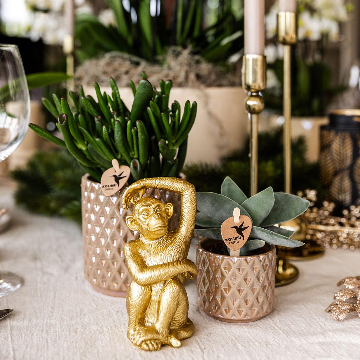 Hummingbird Home | Diamond pearl decorative pot - Sand - Ø9cm