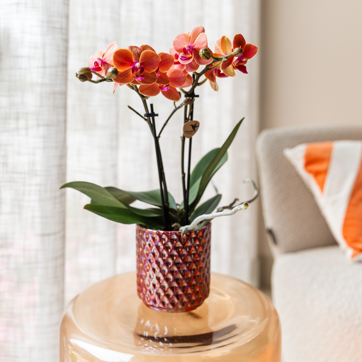 Hummingbird Home | Diamond pearl decorative pot - Red - Ø6cm
