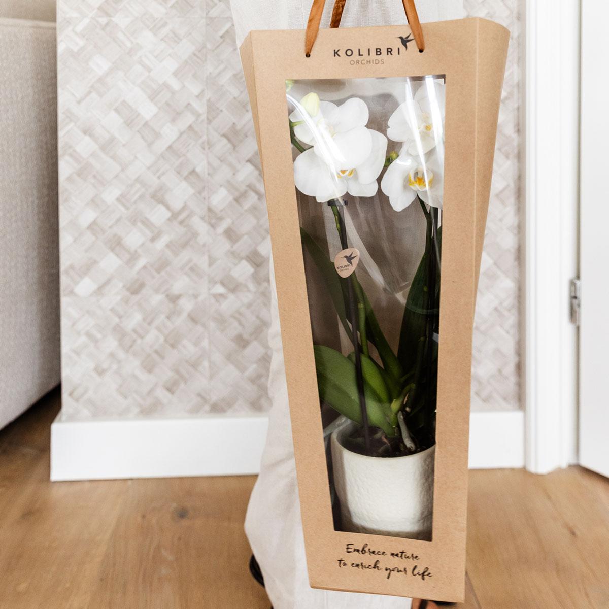 Kolibri Company I Gift bag for Orchid with decorative pot 9cm