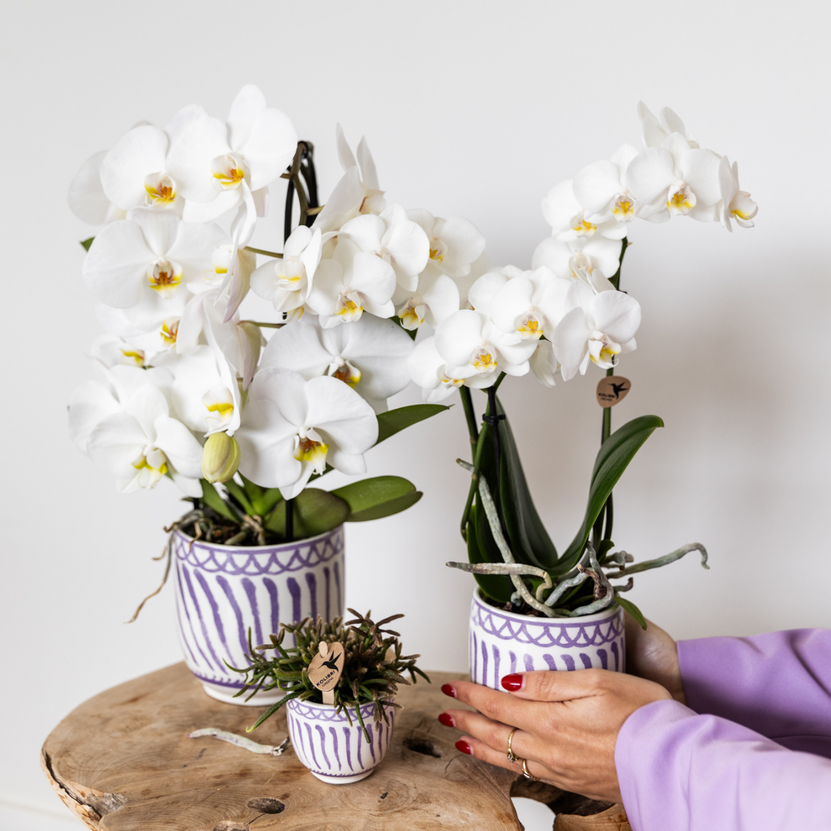 Hummingbird Home | Granada - Lilac - Ø6cm