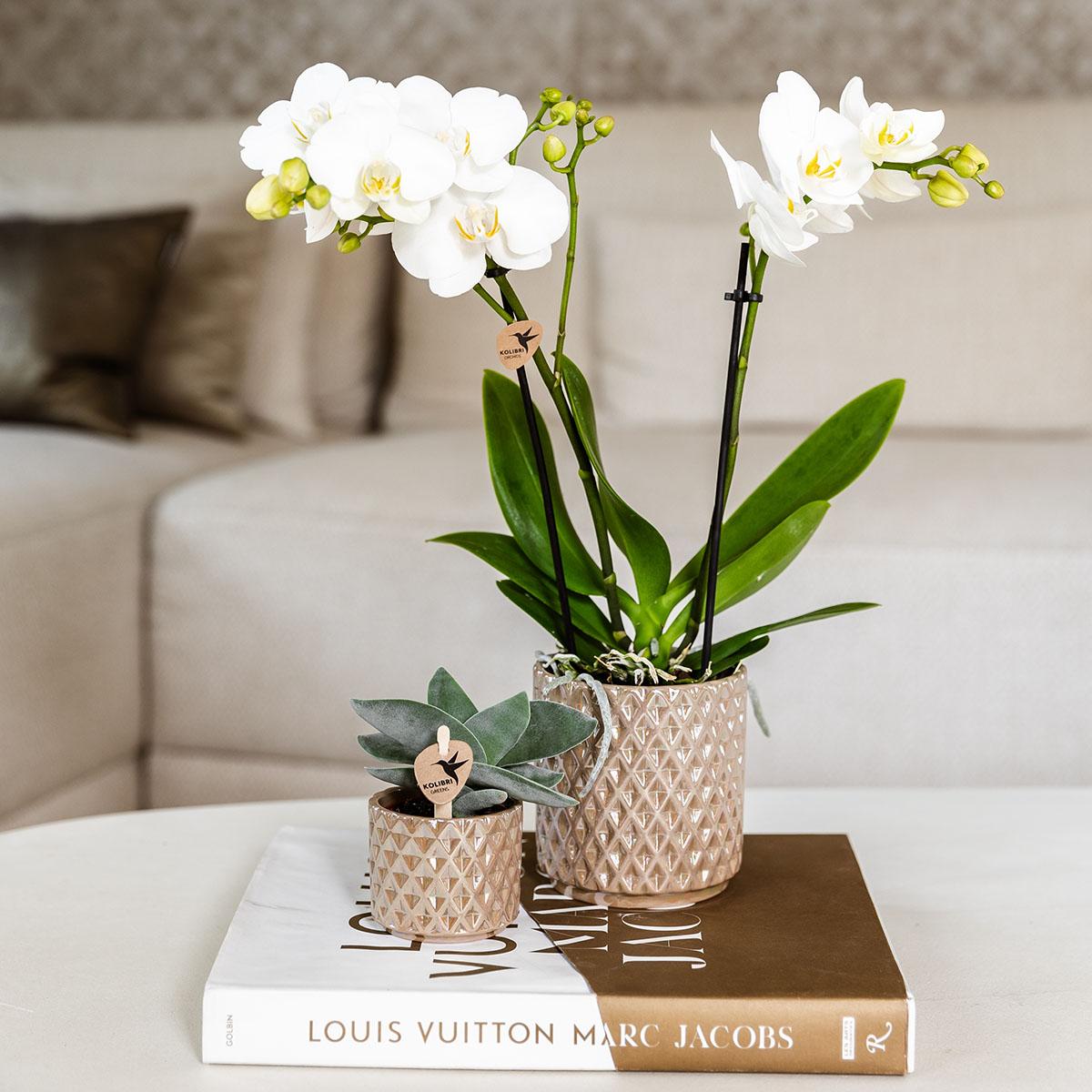 Hummingbird Home | Diamond pearl decorative pot - Sand - Ø9cm