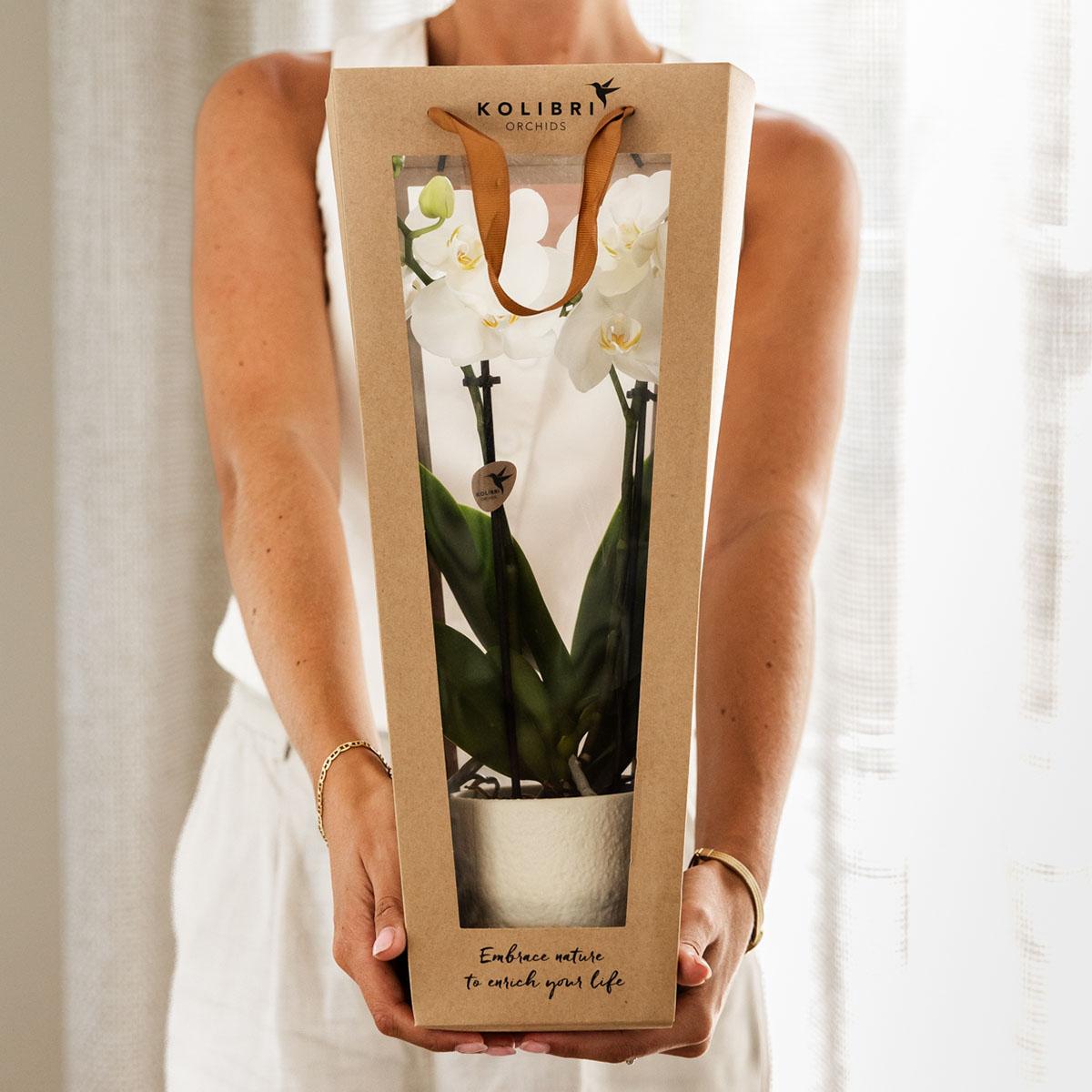 Kolibri Company I Gift bag for Orchid with decorative pot 9cm