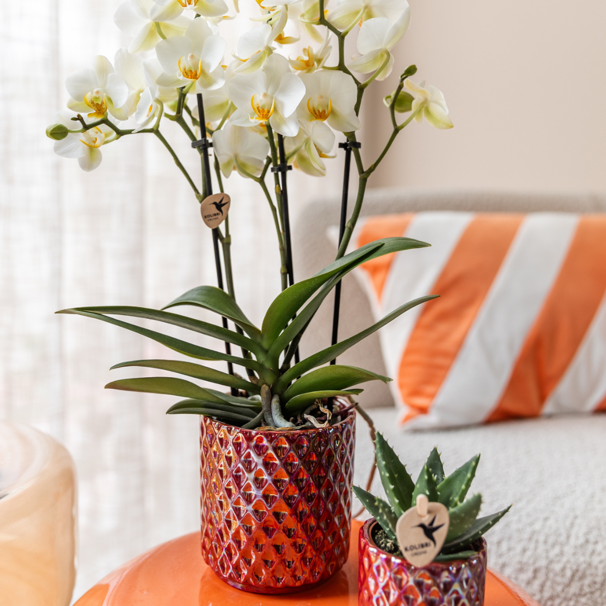 Hummingbird Home | Diamond pearl decorative pot - Red - Ø9cm