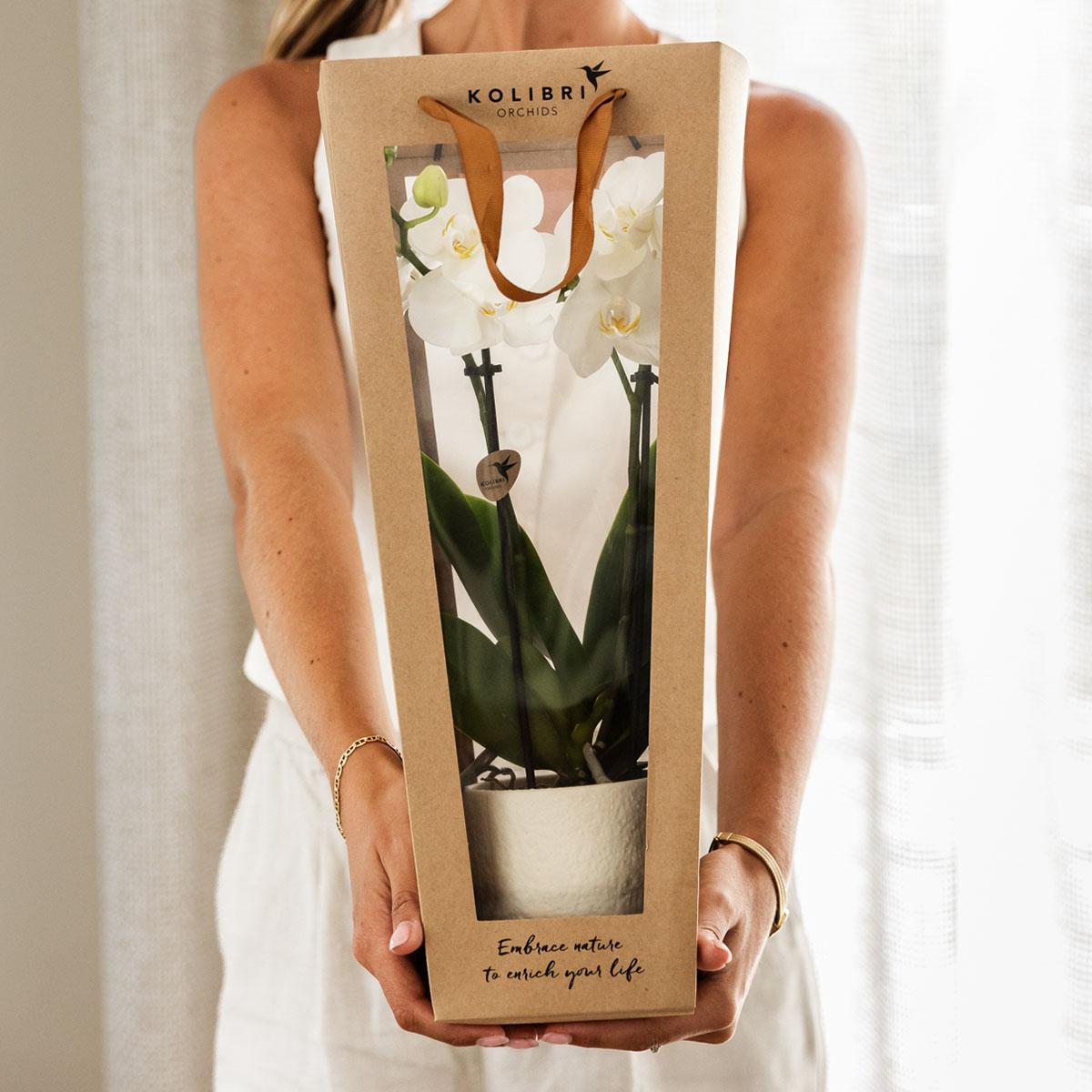 Kolibri Company I Gift bag for Orchid with decorative pot 9cm