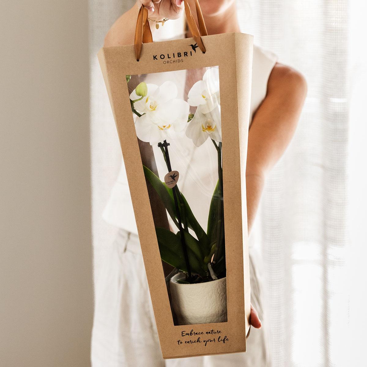 Kolibri Company I Gift bag for Orchid with decorative pot 9cm