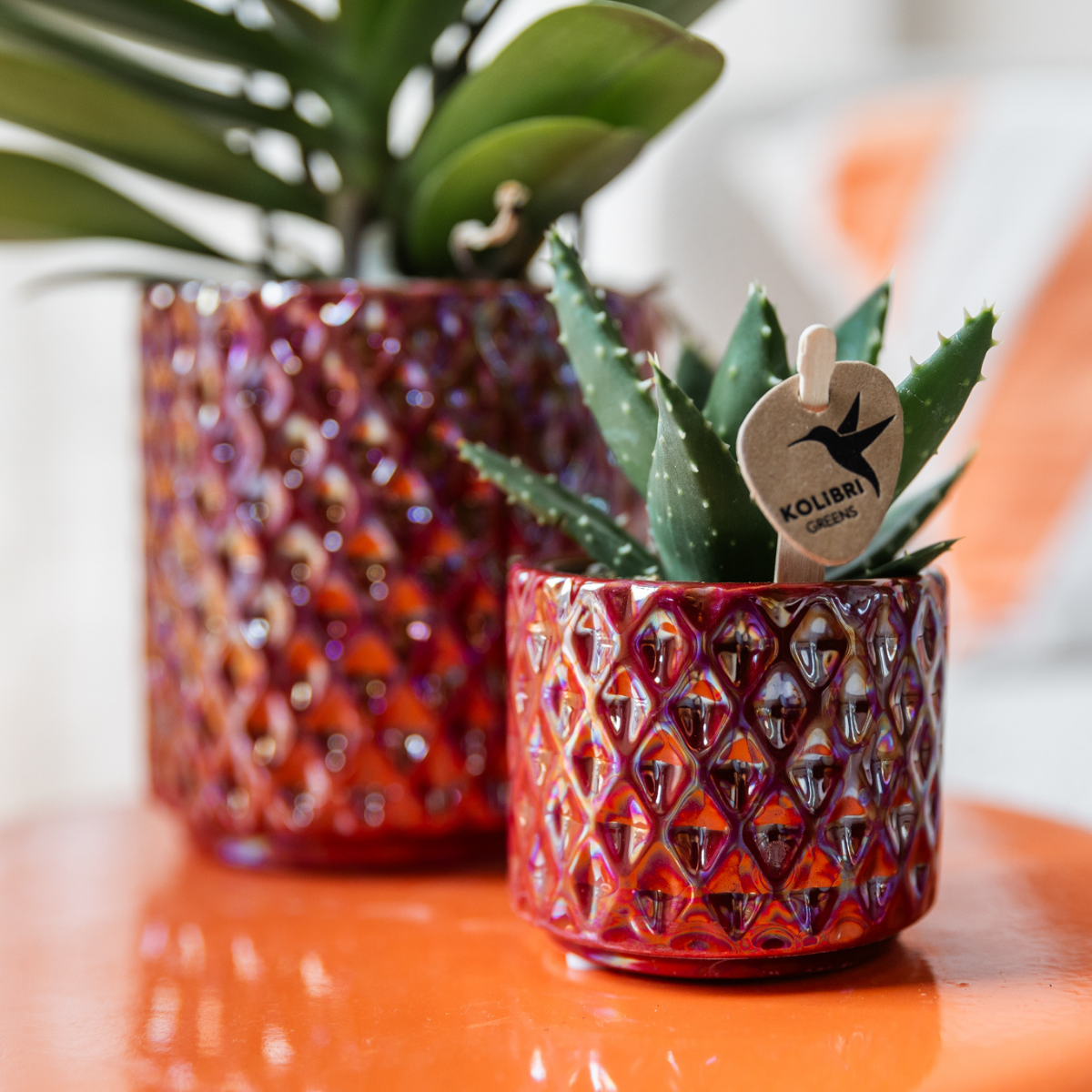 Hummingbird Home | Diamond pearl decorative pot - Red - Ø6cm