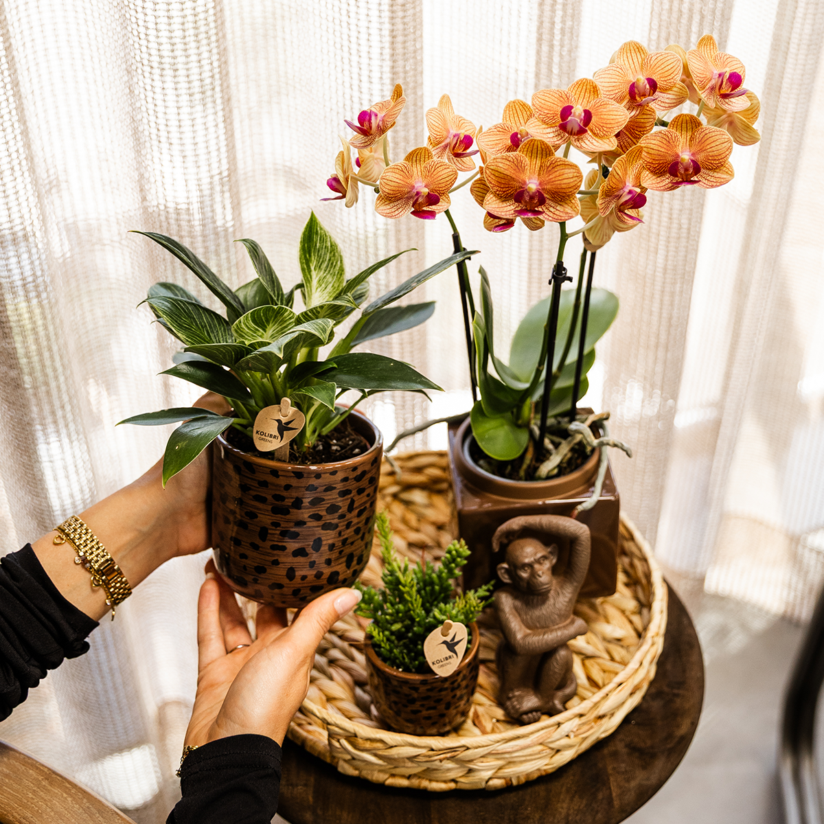 Hummingbird Home | Leopard decorative pot - Ø9cm