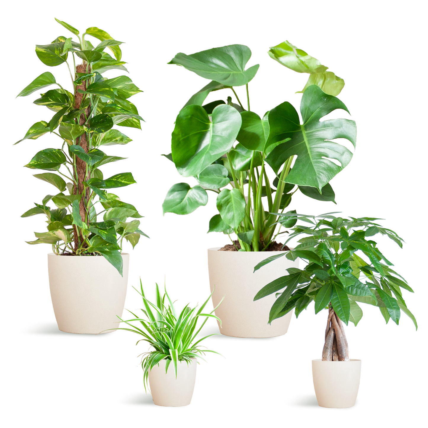 Easy care Plant box - medium - with vibers pot white