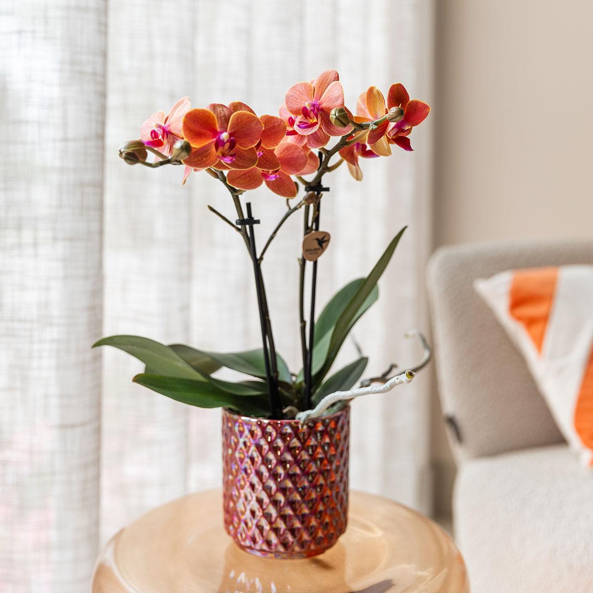 Hummingbird Home | Diamond pearl decorative pot - Red - Ø9cm