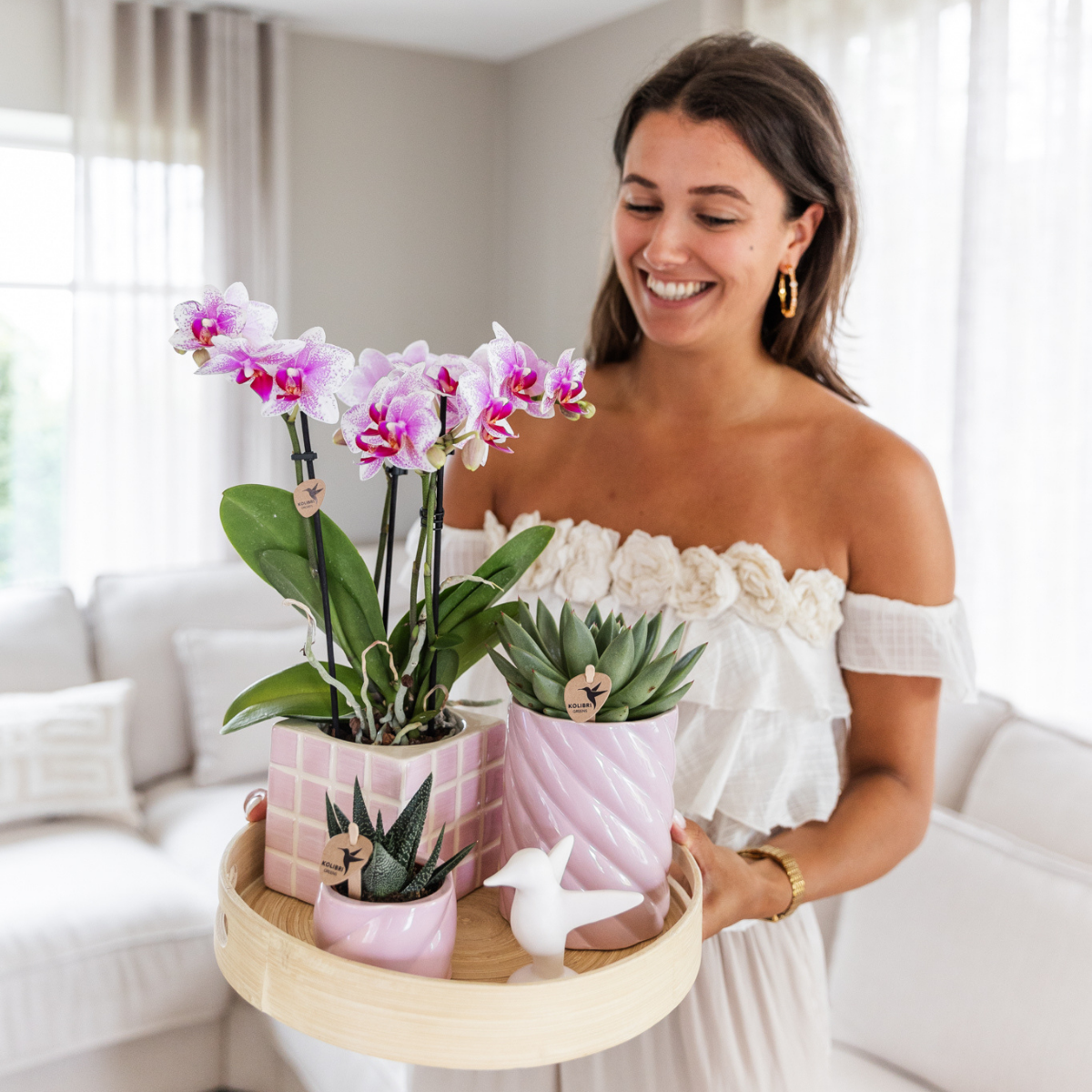 Roze Phalaenopsis orchidee potmaat Ø9cm | Rotterdam