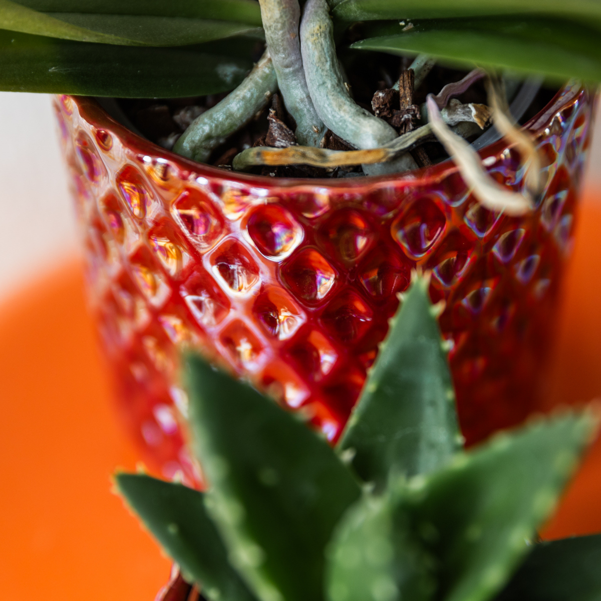Hummingbird Home | Diamond pearl decorative pot - Red - Ø9cm