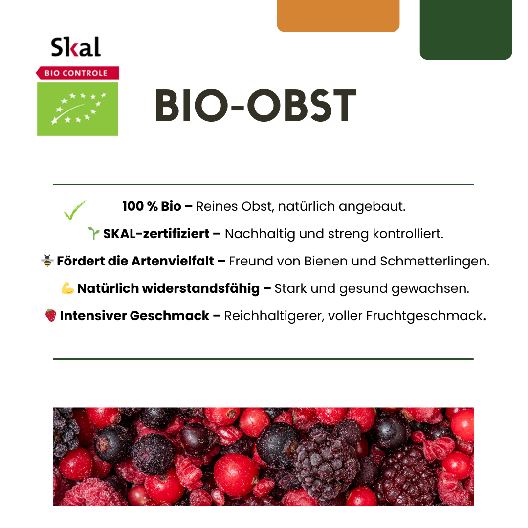 "Fruit Oasis" BIO Fruit Plants Mix Set of 5 Different Types