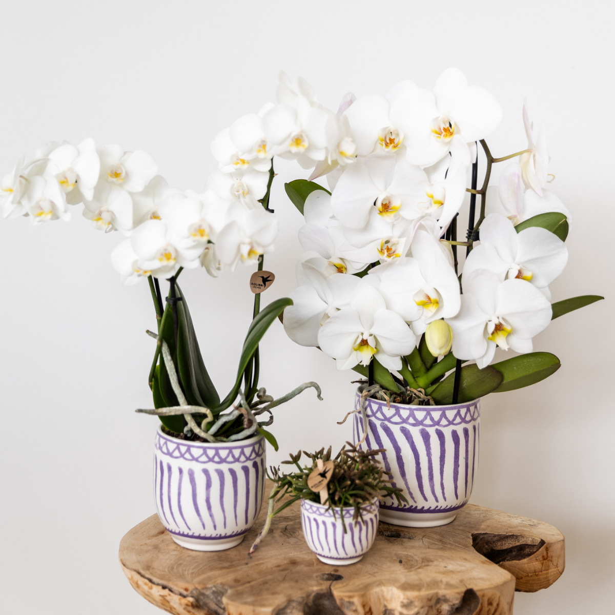 Hummingbird Home | Granada - Lilac - Ø6cm