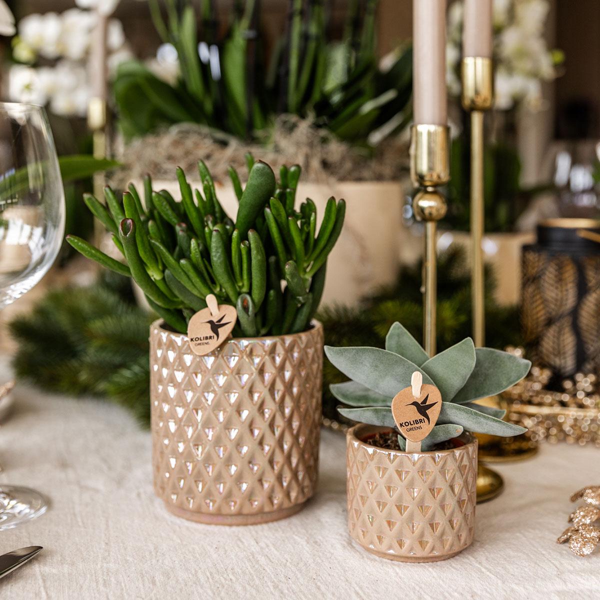 Hummingbird Home | Diamond pearl decorative pot - Sand - Ø9cm