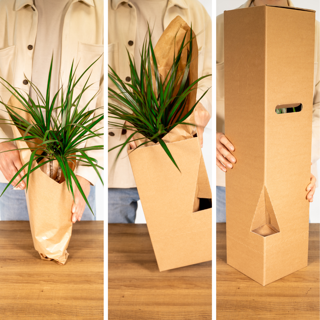 Garden Herb Mix - 4 pieces - Ø14cm - ↕18cm
