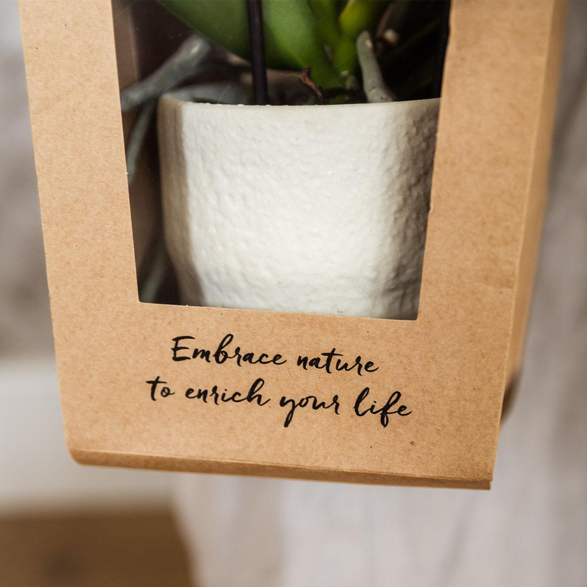 Kolibri Company I Gift bag for Orchid with decorative pot 9cm