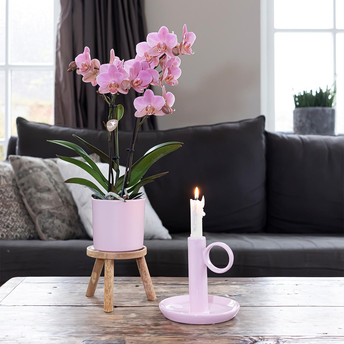 Hummingbird Home | Simplicity flowerpot - Ceramic decorative pot - Pink - 9cm