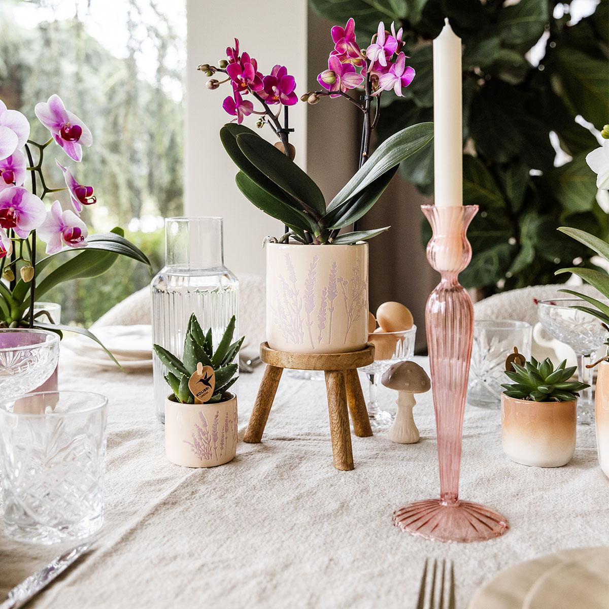 Hummingbird Home | Floral flowerpot - Lavender - 9cm