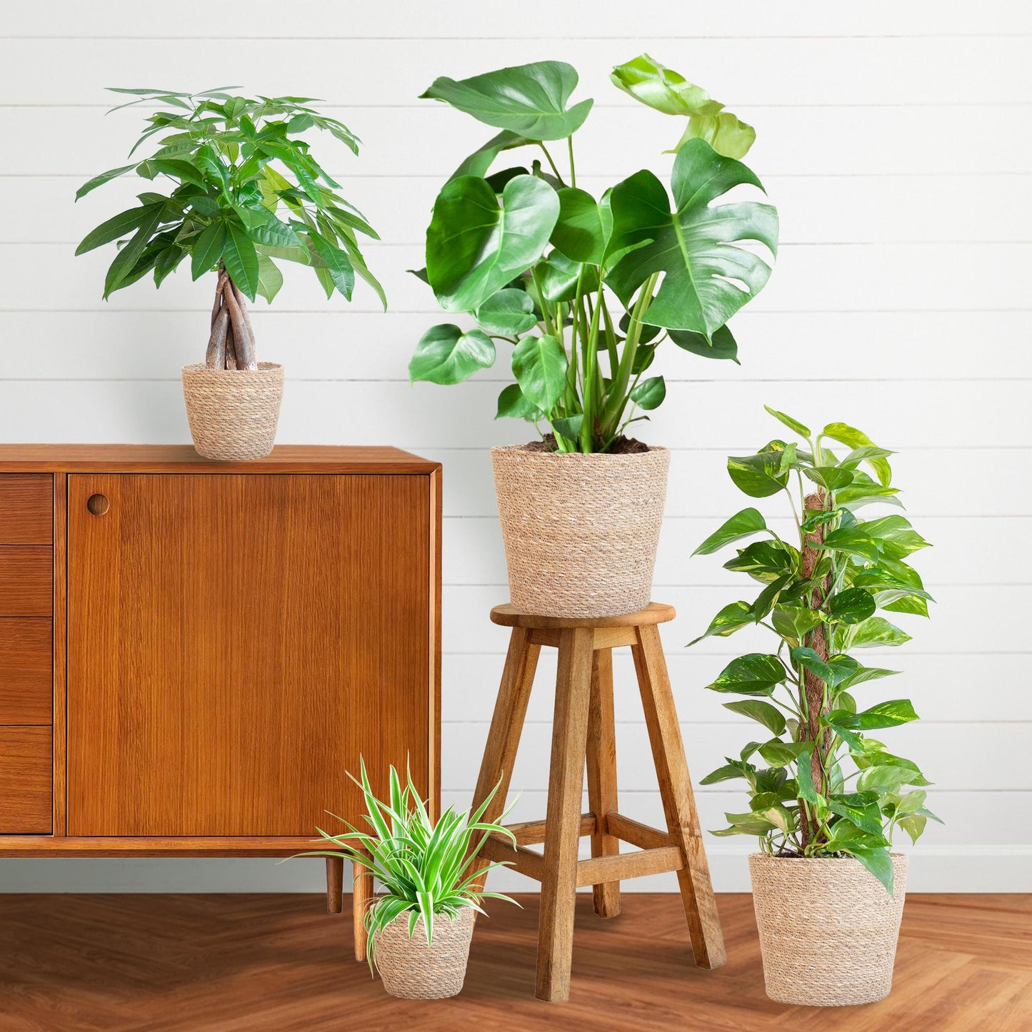 Easy care Plant box - medium - with basket Sofia