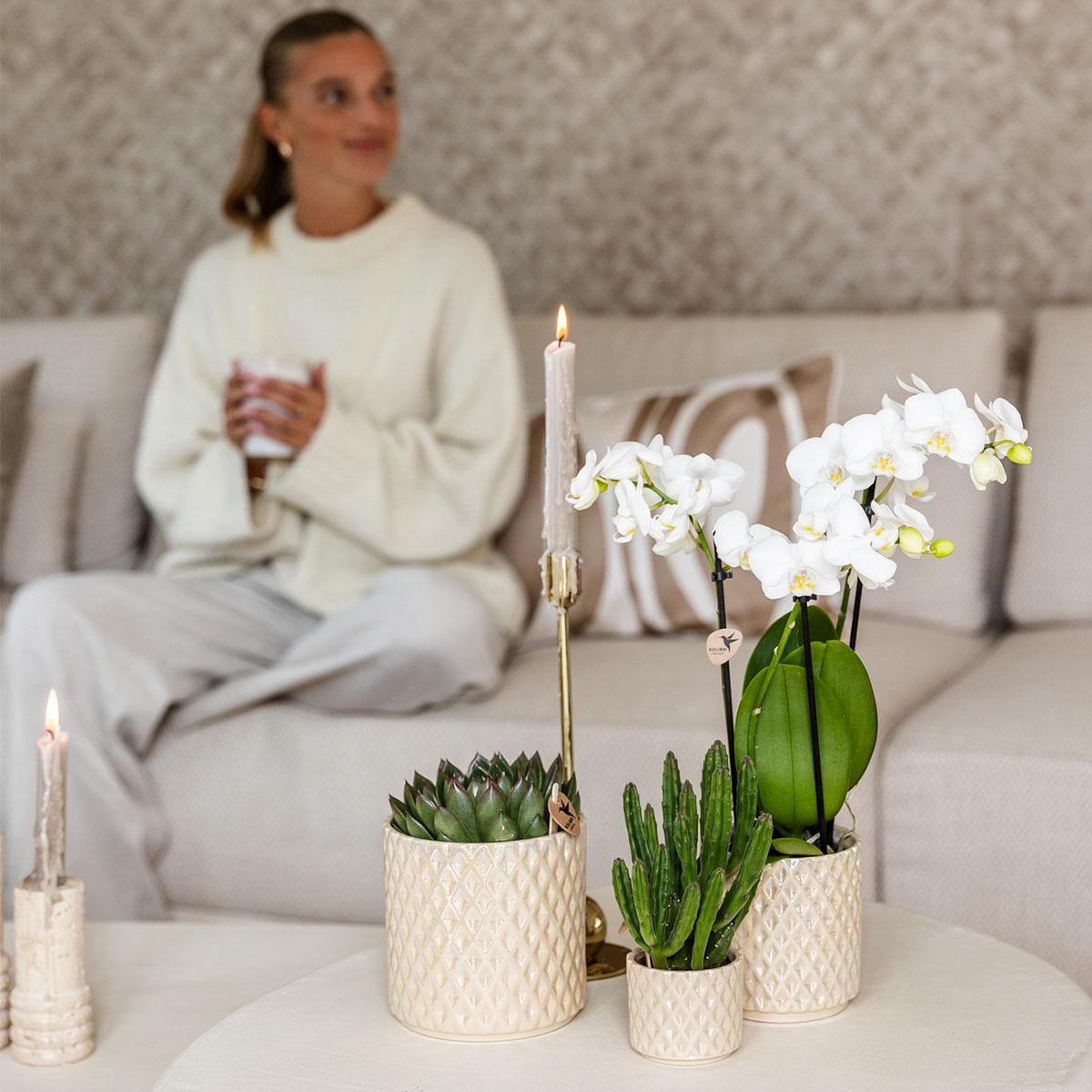 Hummingbird Home | Diamond pearl decorative pot - Travertine - Ø6cm