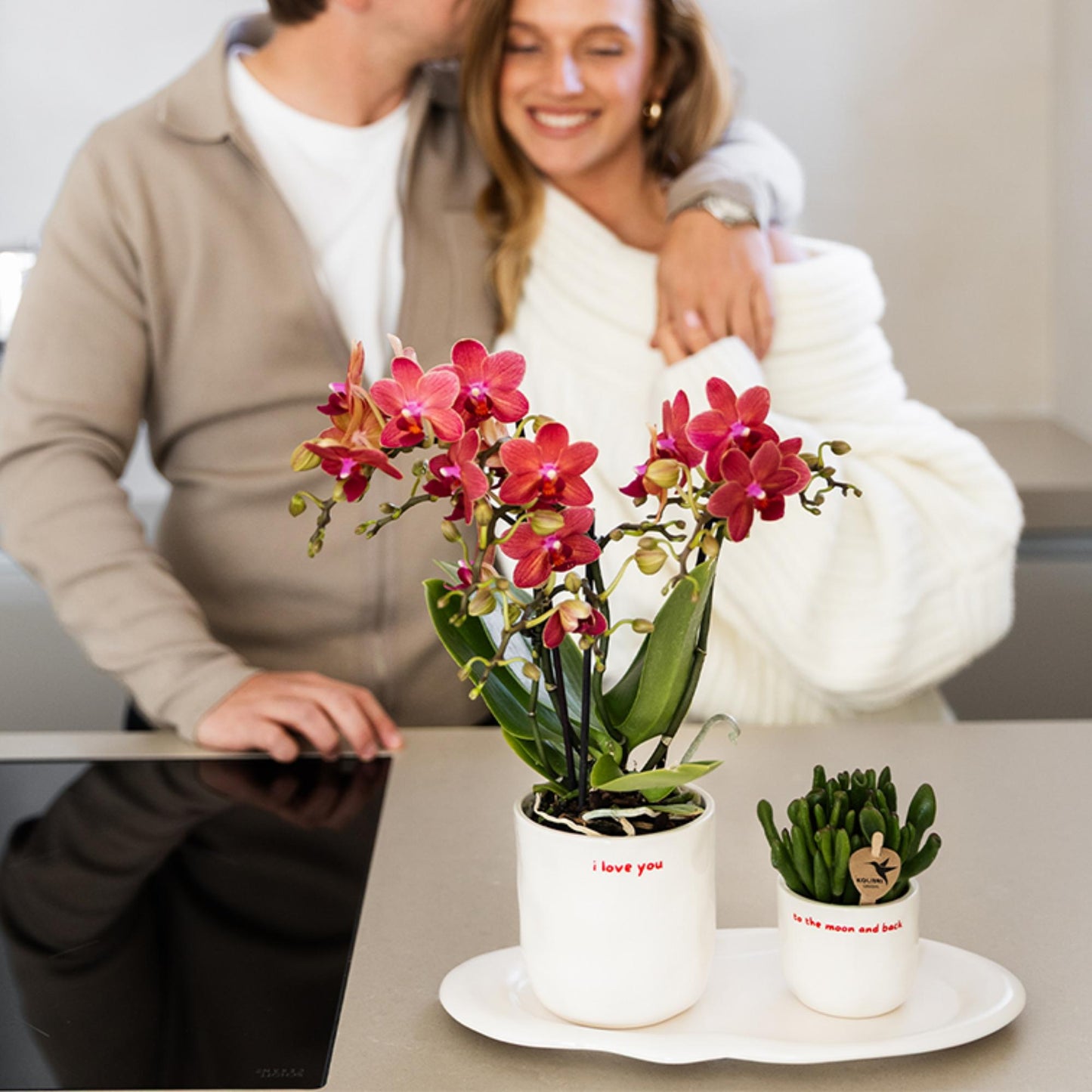 Kolibri Orchids | red Phalaenopsis orchid pot size Ø9cm | Congo | flowering houseplant - fresh from the grower