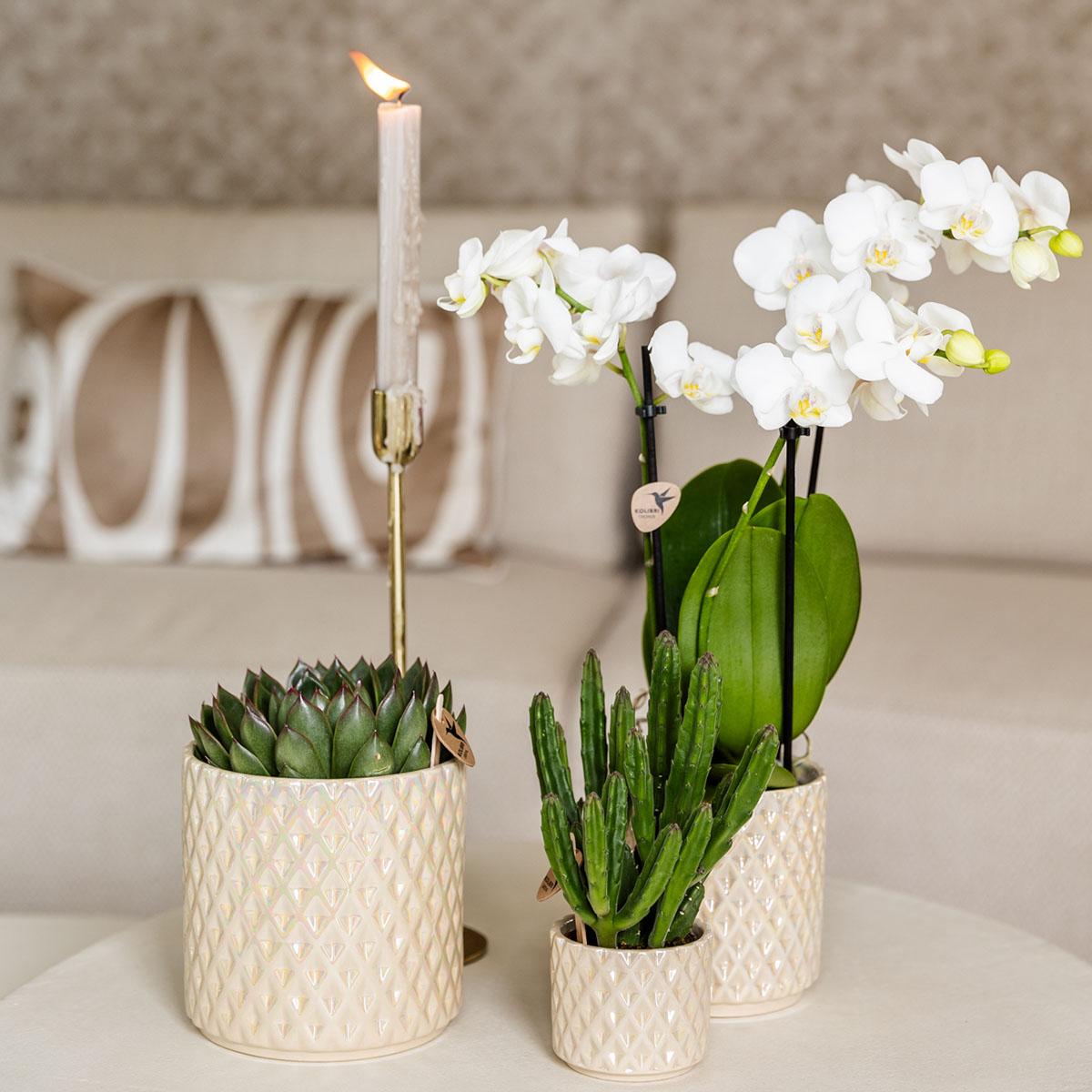 Hummingbird Home | Diamond pearl decorative pot - Travertine - Ø6cm