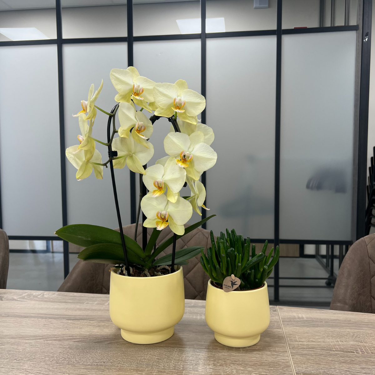 Hummingbird Home | Scandic flower pot - Yellow - ⌀9cm