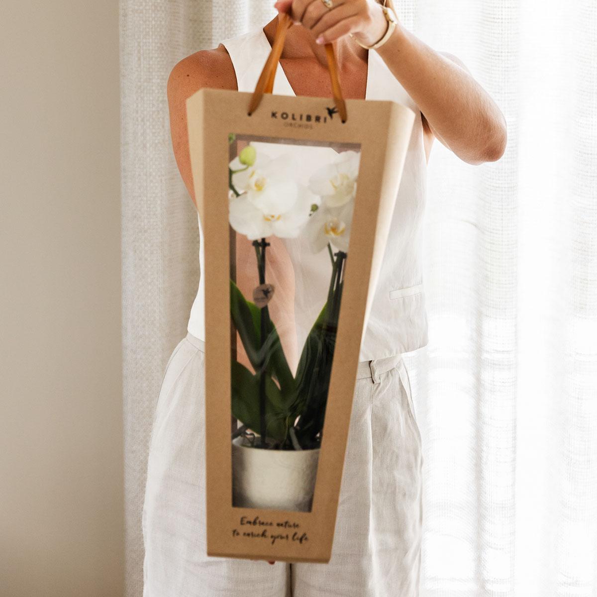 Kolibri Company I Gift bag for Orchid with decorative pot 9cm