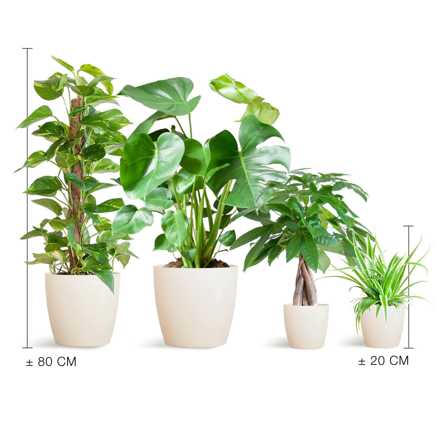 Easy care Plant box - medium - with vibers pot white
