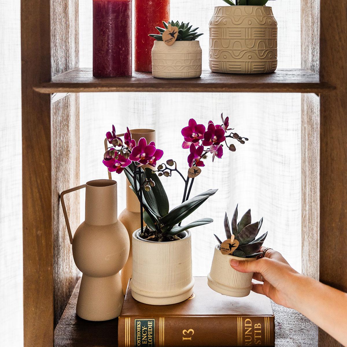 Hummingbird Home | Bali decorative pot - Off White - Ø9cm