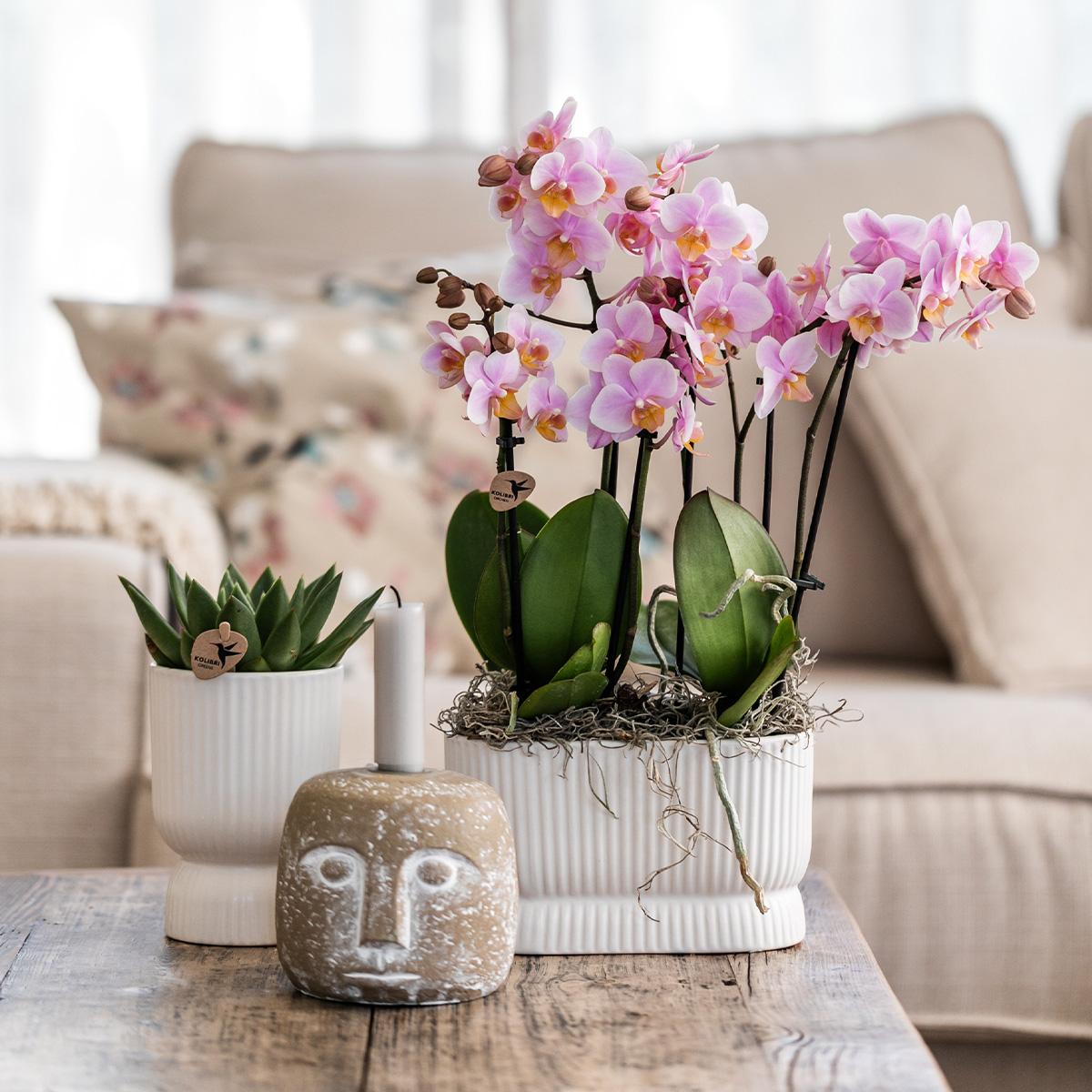Hummingbird Home | Diabolo twin decorative pot - White