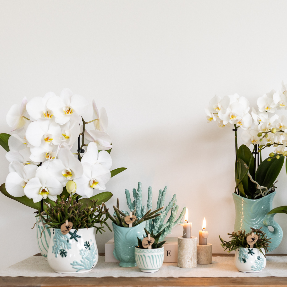 Hummingbird Home | Granada - Turquoise - Ø6cm