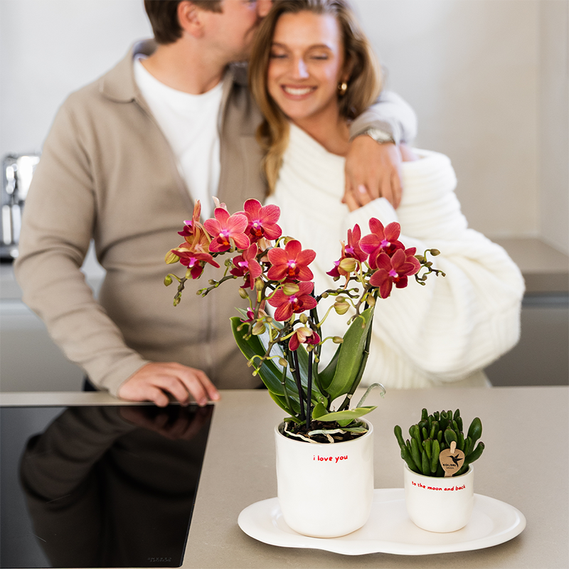 Hummingbird Home | I love you decorative pot - Ø9cm