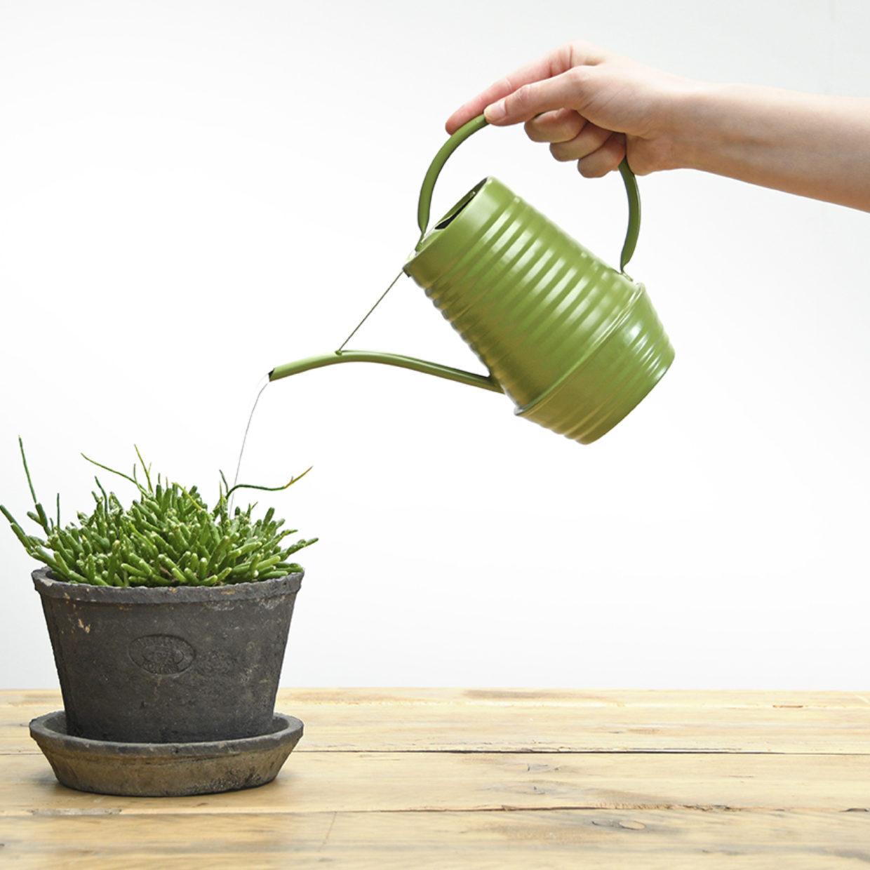 Flower watering can - Zinc - 1 liter - Green