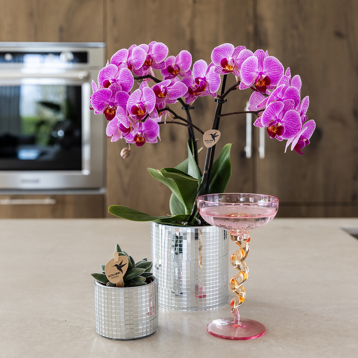 Hummingbird Home | Disco decorative pot - Ø9cm