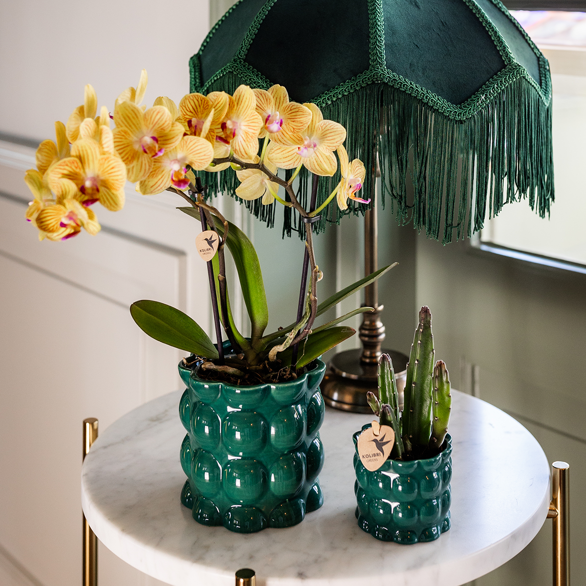 Gele Phalaenopsis orchidee - Lima - potmaat Ø9cm