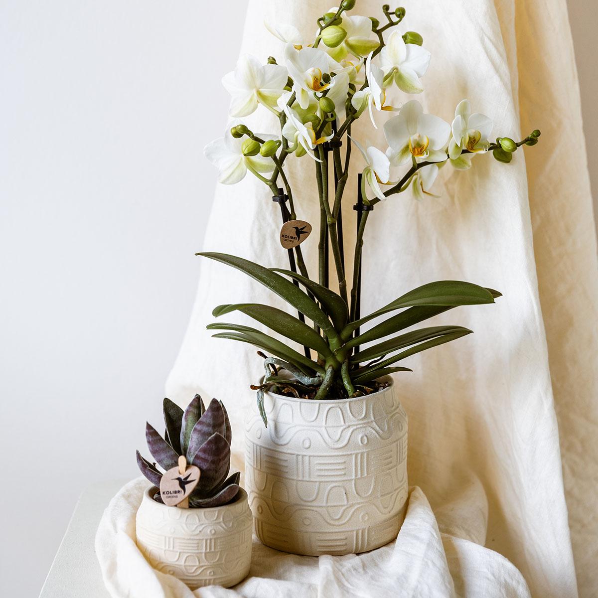 Hummingbird Home | Hieroglyph decorative pot - Off White - Ø9cm