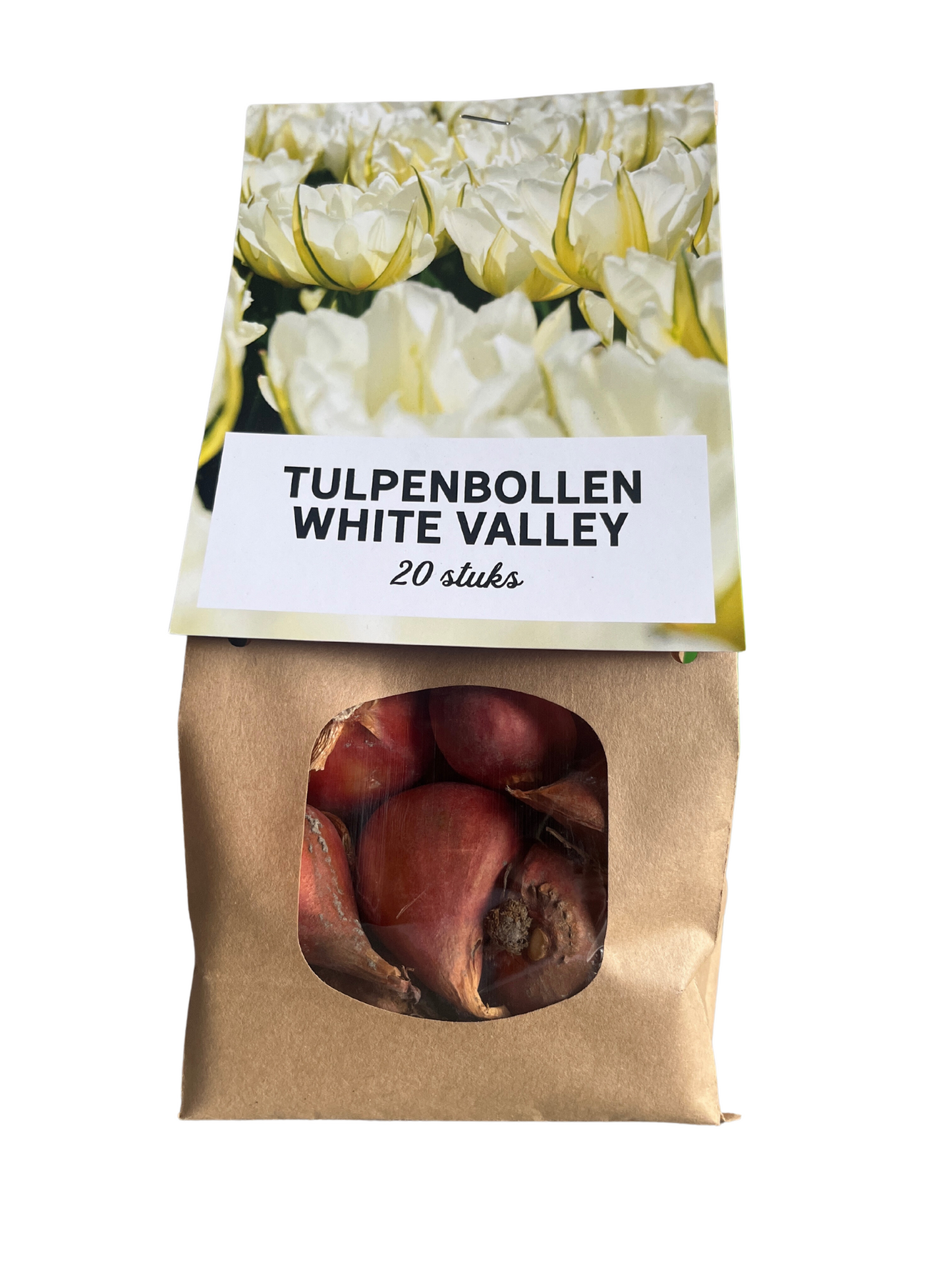 White Valley - Tulip bulbs 20 pieces