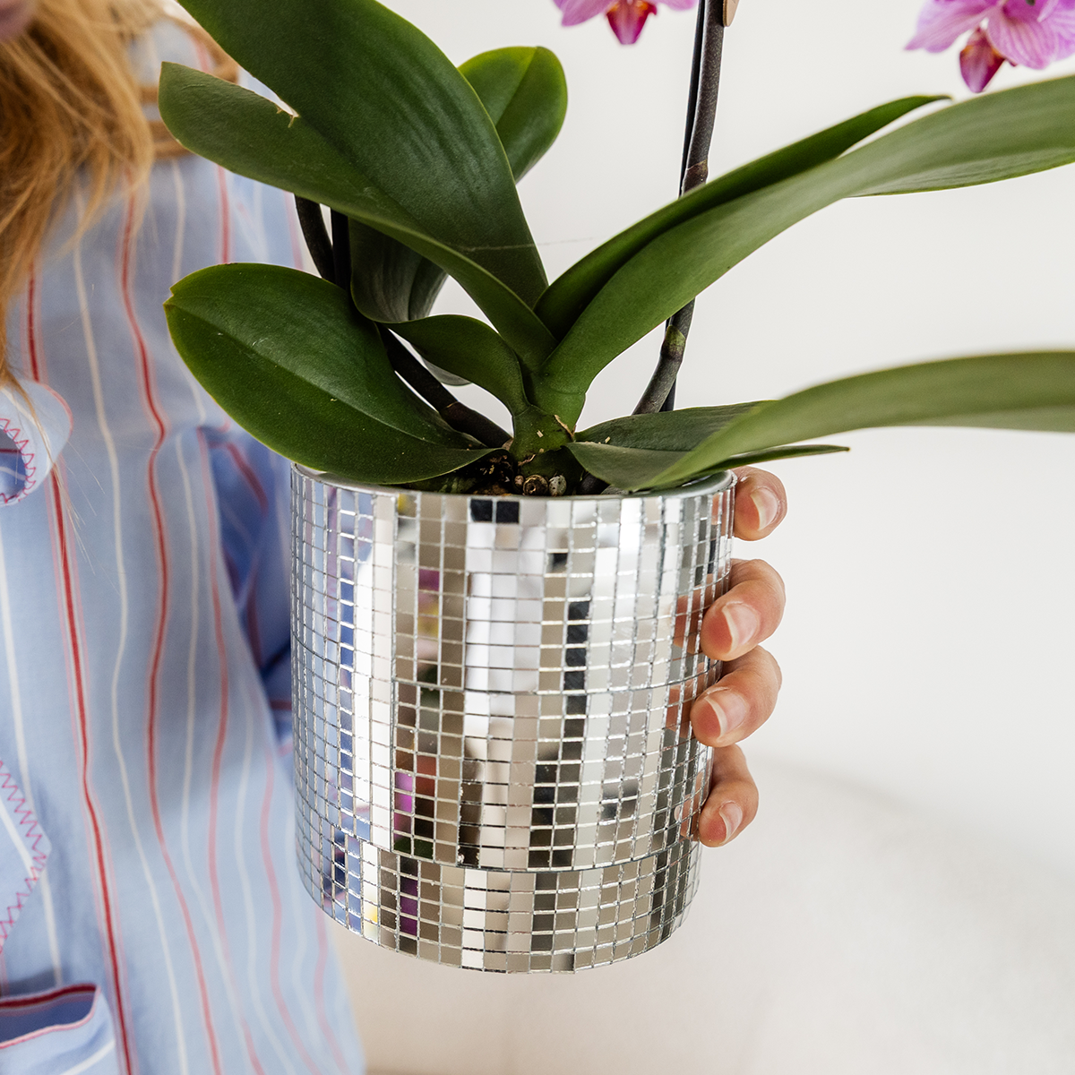 Hummingbird Home | Disco decorative pot - Ø9cm