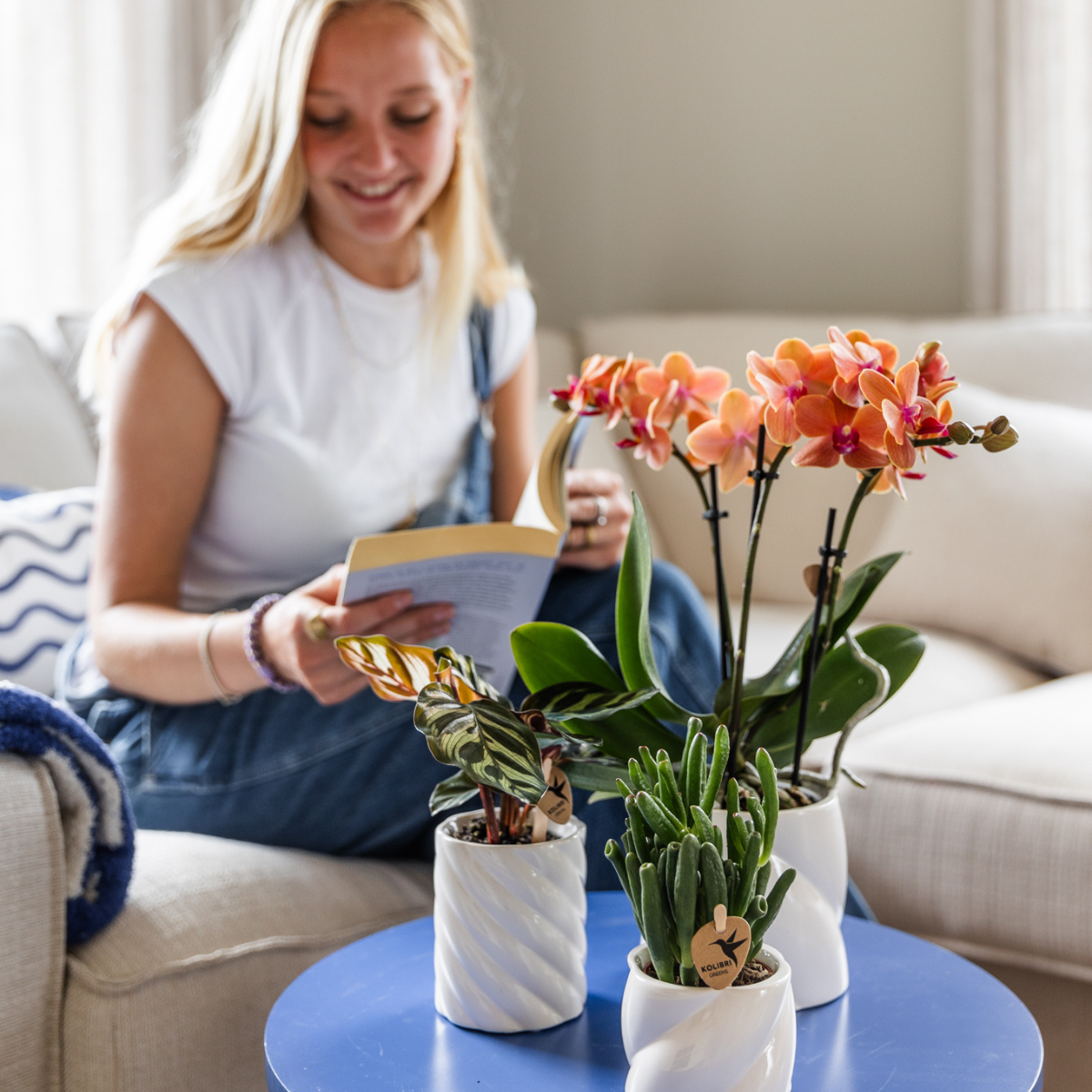 Kolibri Orchids | COMBI DEAL of 4 orange Phalaenopsis orchids - Bolzano - pot size Ø9cm | flowering houseplant - fresh from the grower