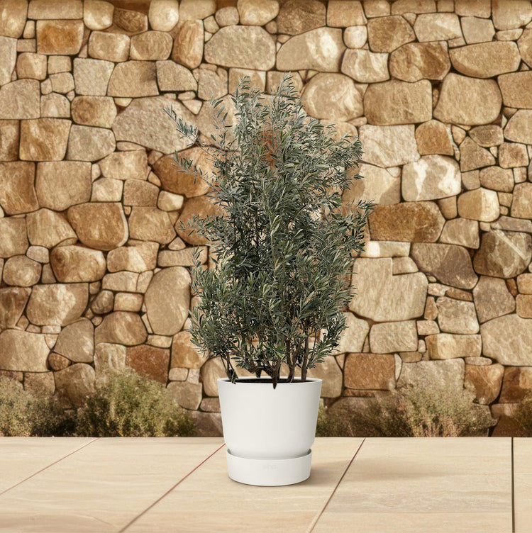 Buitenplanten in pot