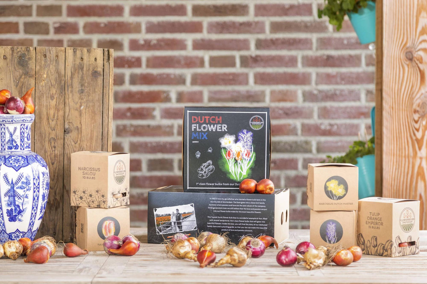 Flowerbulbs Amsterdam - Dutch Flower Mix - Luxury medium box, 40 flower bulbs for 1 m² of floral splendor - Size 12+