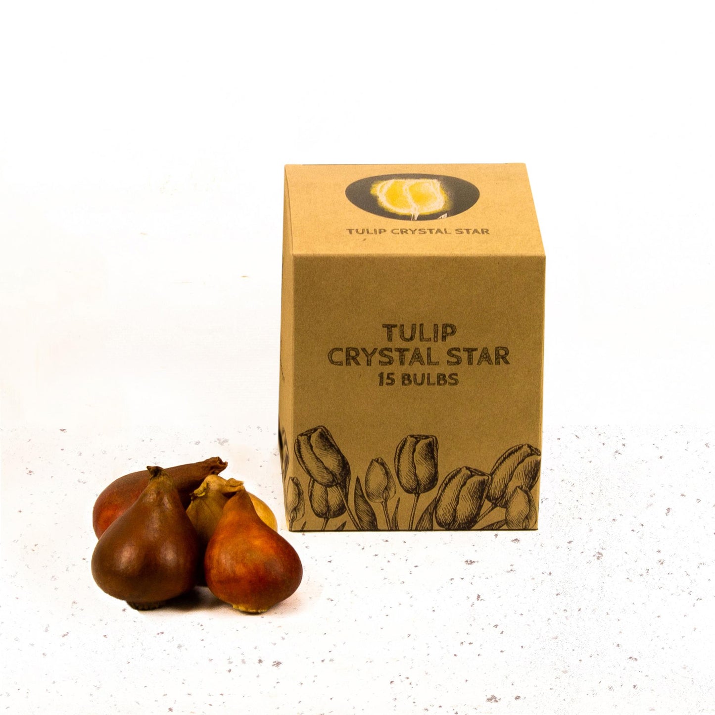 Flowerbulbs Amsterdam - Crystal Star - 15 flower bulbs - Size 12+