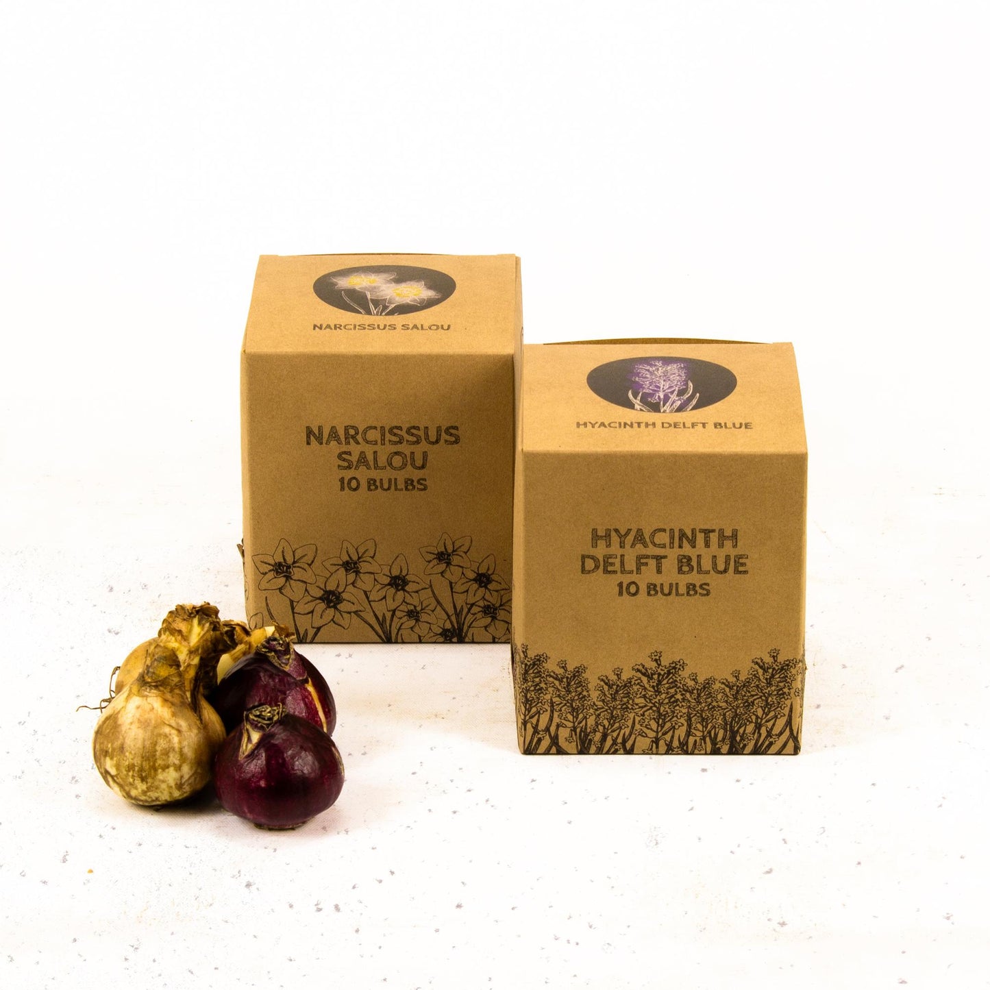 Flowerbulbs Amsterdam - Rob's Favorites - 20 flower bulbs - Size 12/14