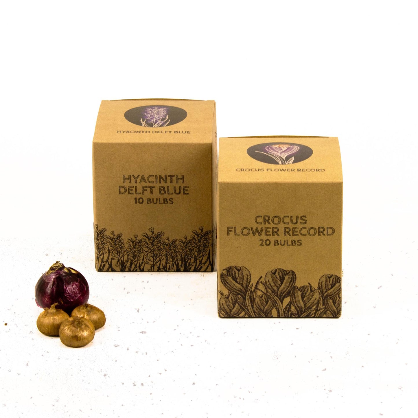 Flowerbulbs Amsterdam - Blue and Purple - 30 flower bulbs