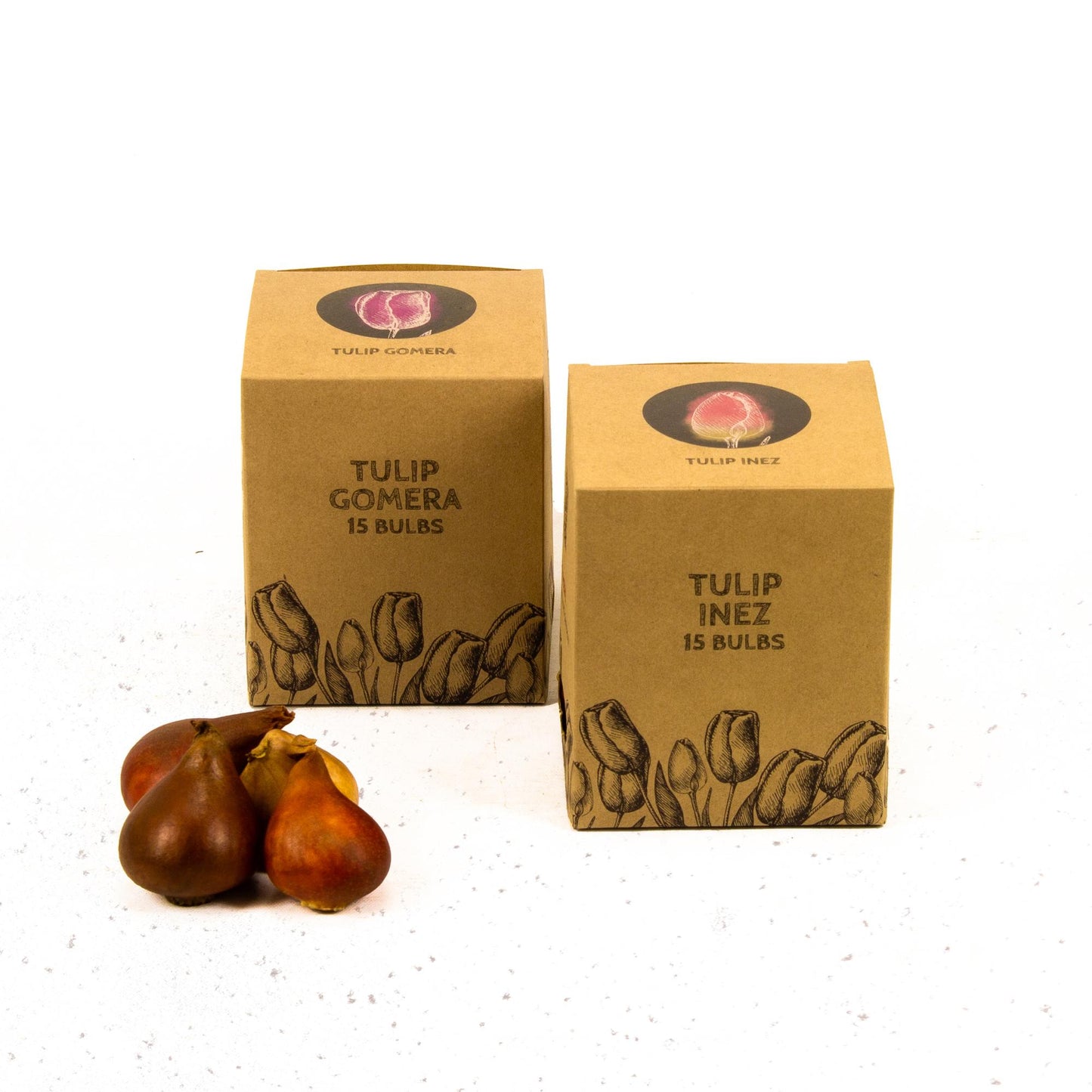 Flowerbulbs Amsterdam - Appie's Best - 30 flower bulbs - Size 12+