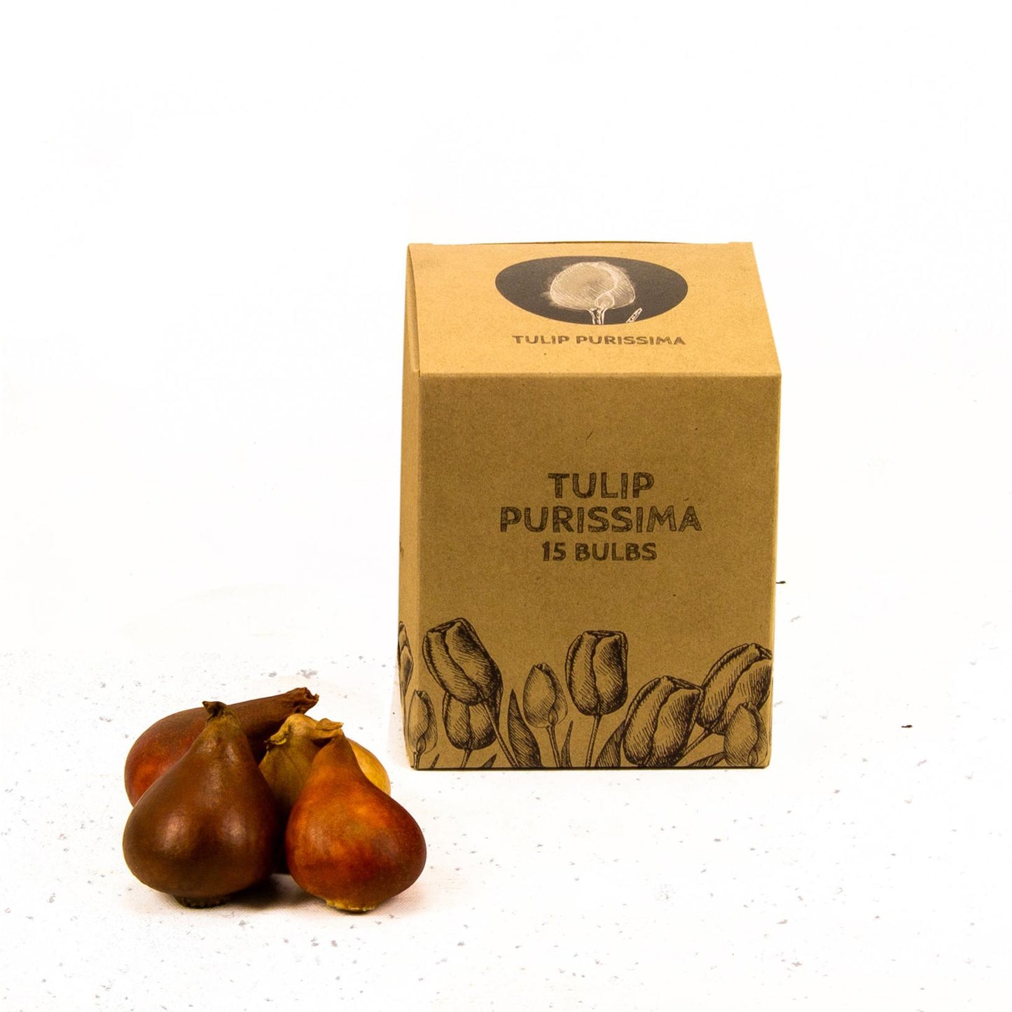 Flowerbulbs Amsterdam - Purissima - 15 flower bulbs - Size 12+