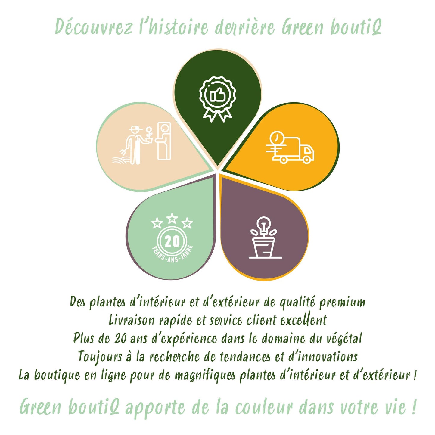 Green boutiQ - Patio plant - Hydrangea - Hydrangea Forever &amp; Ever - Red - 7-12 Flowers - Pot 23cm Height 55cm