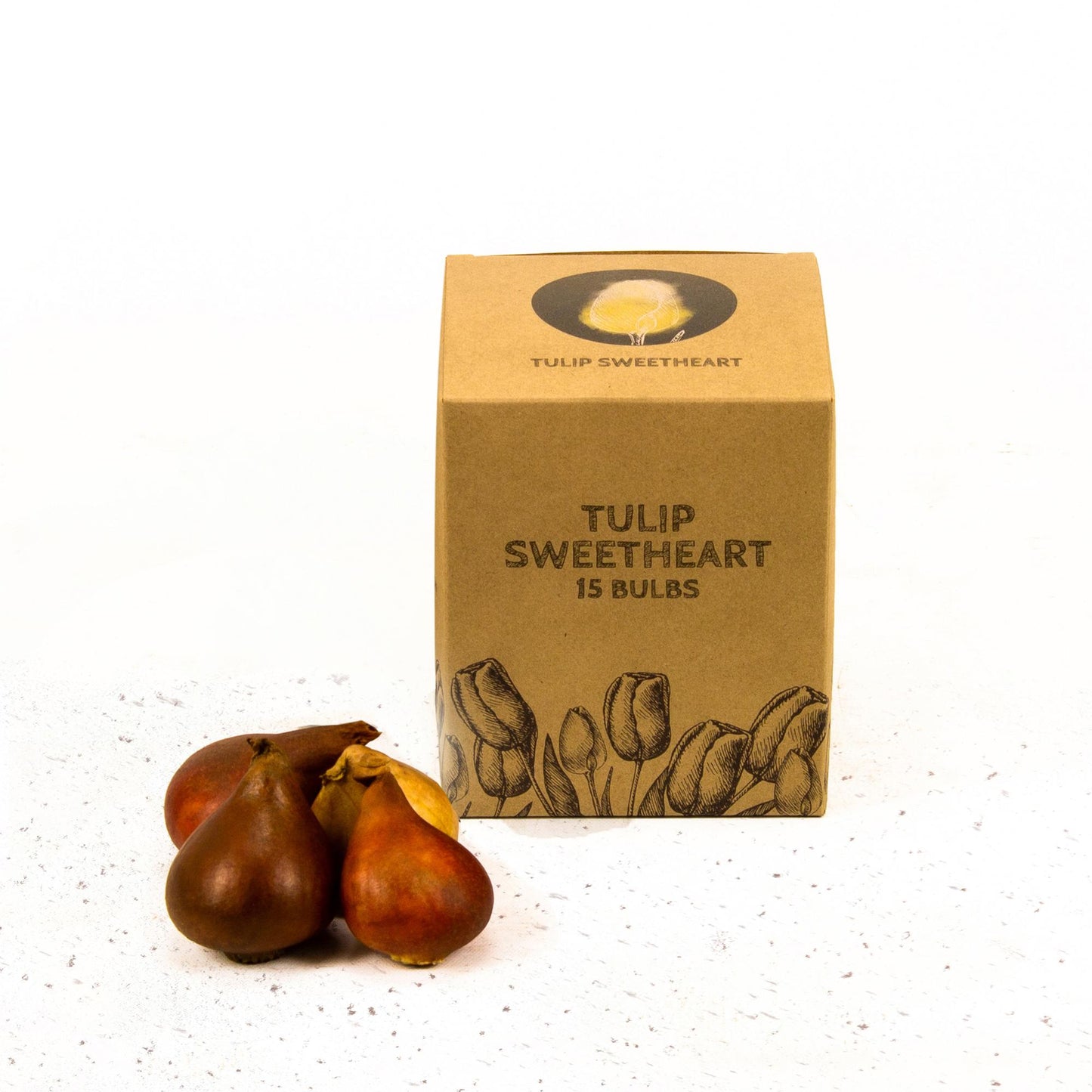 Flowerbulbs Amsterdam - Sweetheart - 15 flower bulbs - Size 12+